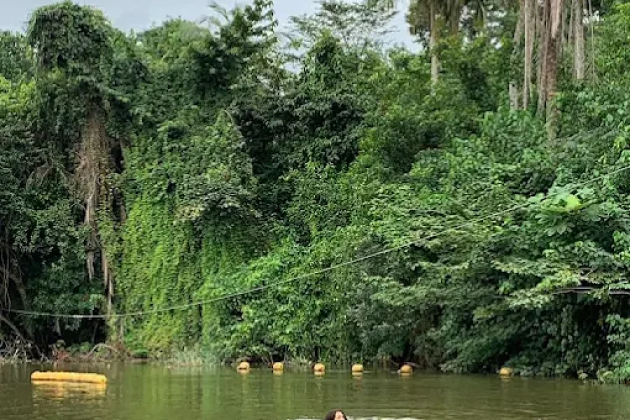 Bini Plélé – Randonnée, Piscine Naturelle & Buffet Ivoirien